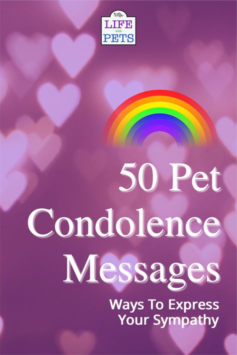 It’s never easy losing a pet. They become a part of the family, and their loss leaves a big hole in our hearts. If you are looking for the right words to say to someone who has lost their pet, you have come to the right place. In this blog post, we will provide 50 condolence messages that will help you express your sympathy in the best way possible. We know how hard it can be to find the words during these tough times, so let us help you out. Message For Losing A Dog, Sorry You Lost Your Dog Sympathy Cards, Pet Sympathy Quotes Dogs, When You Lose Your Dog, Condolences For Pets Dogs, Sorry For Loss Of Dog, Cat Condolences Loss Of Pet, Sayings For Loss Of Pet, Sympathy Card For Pet Loss