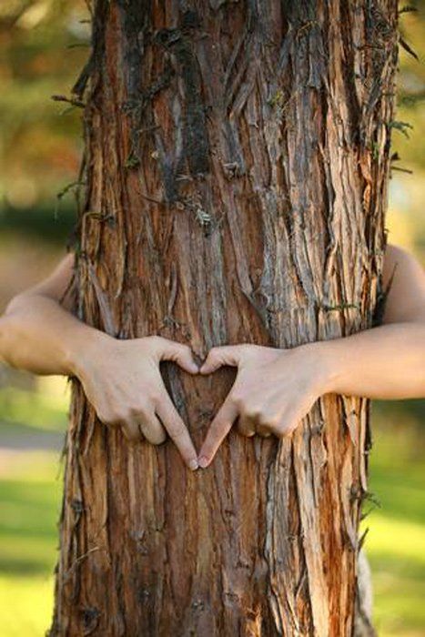 Tree Huggers. The Unspoken History of Indian Environmental Martyrs | Ancient Origins Image St Valentin, Hug Life, Tree Hugger, New Forest, Jolie Photo, Heart Art, The Shape, Mother Earth, A Tree