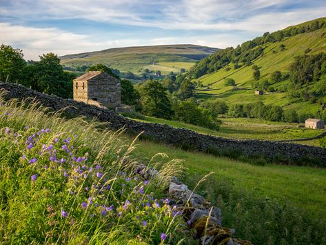 *🇬🇧 Evening in Thwaitedale (North Yorkshire, England) by Bob Radlinski 🌿🌾 England Aesthetic, England Countryside, Countryside Landscape, British Countryside, Yorkshire Dales, A Hill, English Countryside, Nature Aesthetic, Pretty Places