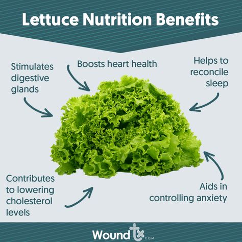 Lettuce Benefits, Eat More Veggies, Skin Care Supplies, More Veggies, Wound Care, Cholesterol Levels, Heart Health, Tag A Friend, Lettuce