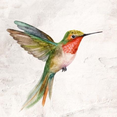 'Flit 1' Art Print - Kimberly Allen | Art.com Painting A Hummingbird, Hummingbird Art Painting, Watercolor Hummingbirds, Hummingbird Artwork, Dry Clay Crafts, Air Dry Clay Crafts, Hummingbird Watercolor, Singing Birds, Watercolor Hummingbird