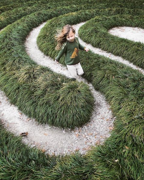 Leaping from the Nest Backyard Maze, Backyard Garden Landscaping, Sensory Gardens, Small Space Baby, Nature Playground, Labyrinth Garden, Outdoor Learning Spaces, Garden Kids, Healing Garden