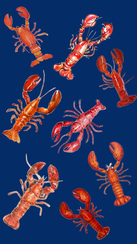 #wallpaper #lobster #myfirstshuffle #lockscreen Lobster Wallpaper, Wallpapers