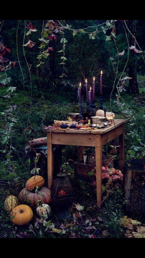 Fancy a forest picnic at dusk? Autumnal Equinox, Deco Nature, Forest Photos, Witch Aesthetic, Practical Magic, Green Witch, Garden Cottage, Hallows Eve, Samhain