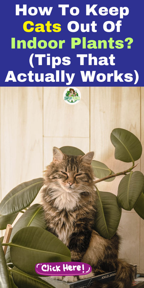 "Discover effective tips on how to keep cats out of indoor plants and create 
a cat-friendly living space! Learn how to cat-proof your plants and find 
plant display ideas that keep your greenery safe. Explore plants that cats 
won't eat and strategies for keeping cats away from plants. Transform your 
home into a cat-friendly haven with our expert advice on keeping plants out of cats' reach! Perfect for pet owners looking to protect their beloved plants while ensuring a harmonious environment." How To Keep Cats Out Of Plants Houseplant, Plants That Deter Cats, Cat Proofing Plants, Cat Proof House Plants, How To Keep Cats Out Of House Plants, Keeping Cats Out Of Plants, Protect Plants From Cats, Plants That Are Safe For Cats, Cat Safe Plants Indoor