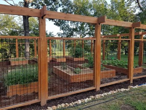 Garden Enclosures, Garden Enclosure Ideas, Garden Enclosure, Deer Fencing, Connecticut House, Deer Resistant Garden, Ornamental Wood, Fenced Vegetable Garden, Deer Fence