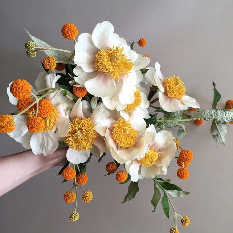 Claire de Lune Peonies Are Finally in Season for Your Bridal Bouquet | Brides Bouquet Bride, Deco Floral, Arte Floral, Beautiful Blooms, Orange Flowers, Design Floral, Ikebana, Love Flowers, Pretty Flowers