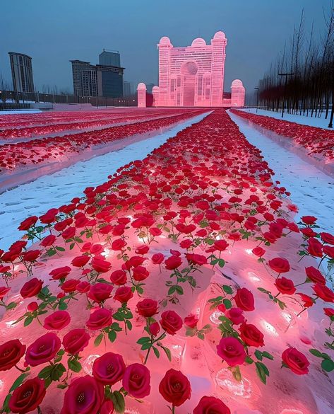 Backgrounds Red, Calming Photos, Pretty Flowers Pictures, Luxury Flower Bouquets, Pink Skies, Pretty Landscapes, Fantasy Castle, Winter Wallpaper, Winter Pictures