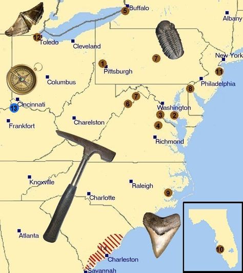 fossil locations activities https://www.pinterest.com/themodernhippie/rocks-fossils/ Nature, Fossil Collection, Gem Hunt, Rock Identification, Sharks Teeth, Rock Collecting, Rock Tumbling, Fossil Hunting, Gold Prospecting