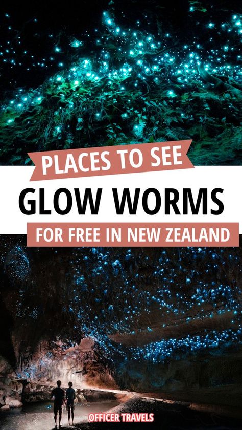 An easy guide to finding glow worms in New Zealand! Find these mystical creatures without spending a dollar on expensive tours, a must do activity when you visit New Zealand.. Discover beautiful caves, glow worms and off-the-beaten-track bays with our New Zealand travel guide to finding glow worms for free all over New Zealand. Including New Zealand north island and New Zealand south island options so you can build the best New Zealand road trip itinerary and see glow worms wherever you stop! New Zealand Tourist Attractions, Road Trip New Zealand, Glow Worms, New Zealand North Island, Best Scenery, New Zealand Road Trip, New Zealand Itinerary, North Island New Zealand, New Zealand Adventure