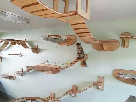 Aerial cat obstacle course Cat Walkway, Katt Diy, Cat Furniture Design, Chat Diy, Kat Diy, Cat Heaven, Cat Run, Cat Playground, Cat Perch