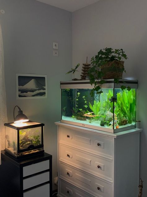 Fish Tanks Ideas Living Room, Fishtank Room Ideas, Fish Aquarium Ideas For Bedroom, Cool Fish Tank Set Ups, Minimalistic Fish Tank, Fish Tank On Dresser, Fish Tank Home Decor, Fish Tank Inspiration, Aquarium Apartment