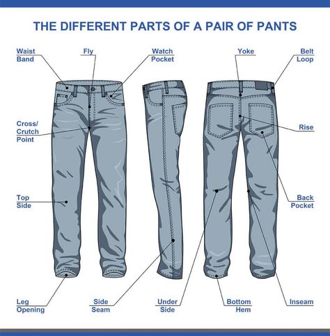 25 Different Types of Pants for Women and Men (Epic List) Anatomy Clothes, Different Types Of Pants, Types Of Trousers, Anatomy Images, Pants Drawing, Below The Knee Dresses, Flat Sketches, Fashion Vocabulary, Pants Details