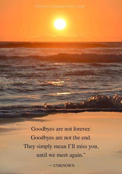 Quotes For Lost Loved Ones, Losing Someone Quotes, Losing A Loved One Quotes, Goodbyes Are Not Forever, Goodbye Quotes, In Loving Memory Quotes, Patience Quotes, Lost Loved Ones, Now Quotes