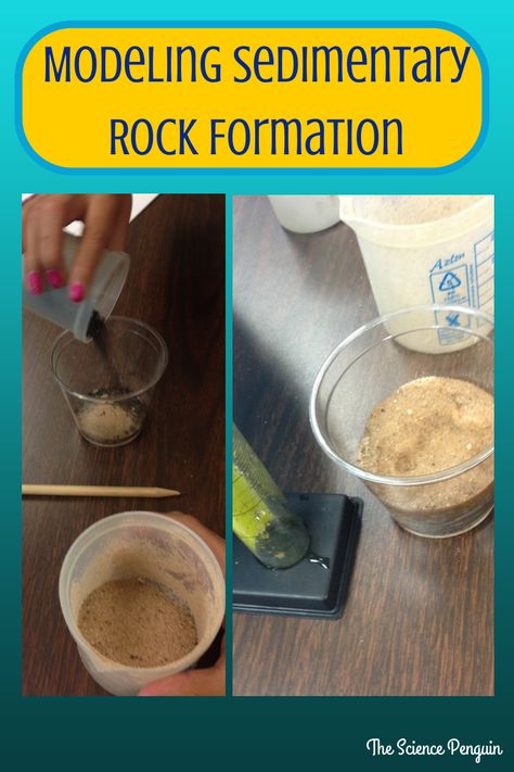 The Science Penguin: Sedimentary Rock and Fossil Fuels After School Science Tutoring Sedimentary Rock Formation, The Science Penguin, Science Penguin, Elementary Science Activities, Rock Cycle, Rocks And Fossils, 4th Grade Science, 6th Grade Science, Earth And Space Science