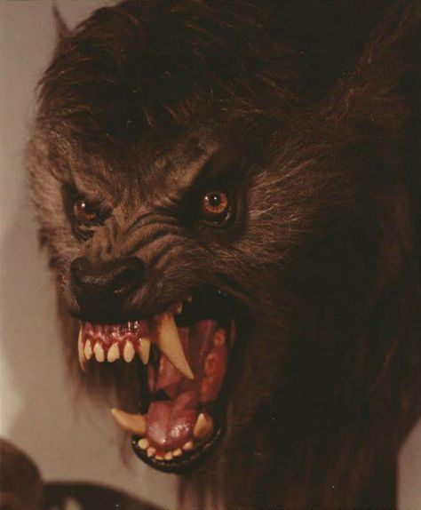 An American Werewolf In London, Werewolf In London, Werewolf Aesthetic, American Werewolf In London, Werewolf Art, Vampires And Werewolves, Famous Monsters, Horror Movie Art, Movie Monsters