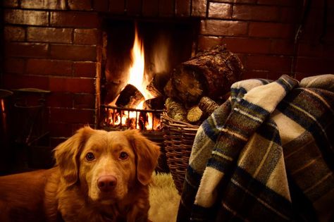 Move over Hygge, ‘Còsagach’ is the Scottish lifestyle trend set to take over in 2018 - BT Christmas In Scotland Aesthetic, Scottish Lifestyle, Fall Houses, Cosy Snug, Scottish Blanket, Danish Hygge, Danish Words, Hygge Living, Hygge Life