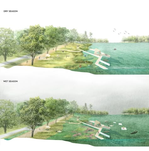 Wetland Landscape Design, Wetland Architecture, Wetland Design, Landscape Plane, Section Perspective, Floating Gardens, Landscape Architecture Diagram, Hand Railing, Landscape Urban Design