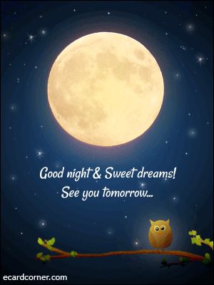 Good night beautiful!!! Sleep well and sweetest of dreams!!! Hope you had a wonderful day. Talk soon and LAB!!! Good Night Sleep Tight, Slaap Lekker, Good Night Friends, Good Night Blessings, Night Messages, Good Night Greetings, Nighty Night, Good Night Moon, Good Night Messages