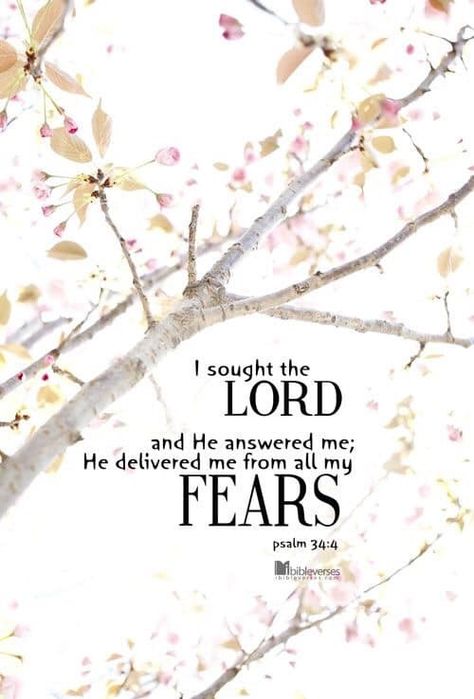 Psalm 34 4, Seek The Lord, Psalm 34, Faith Inspiration, Jesus Is Lord, Spiritual Inspiration, Scripture Verses, Bible Verses Quotes, Faith In God