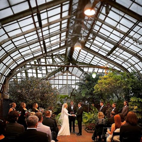 An Event Less Ordinary on Instagram: "PSA to make intimate Thursday weddings a thing. Pass it on! #chicagoweddingplanner #chicagowedding #chicagoweddings #aneventlessordinary #onlyaelo #lincolnpark #lincolnparkchicago #lincolnparkconservatory #wedding #weddingceremony #intimatewedding #smallwedding #offbeatwedding #chitheewed" Lincoln Park Conservatory, Lincoln Park Chicago, Offbeat Wedding, Lincoln Park, Chicago Wedding, Small Wedding, Intimate Wedding, Elopement, Wedding Ceremony