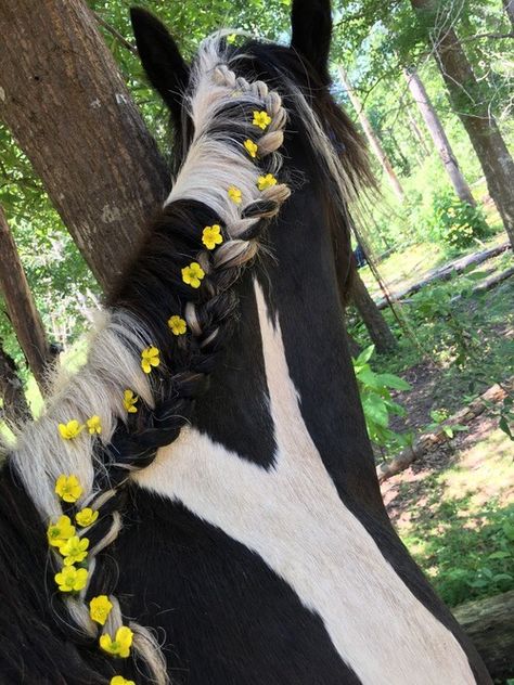 Horse Mane Braids, Ride A Horse, Horsey Life, Horse Braiding, Equestrian Aesthetic, Cute Horse Pictures, Horse Mane, Horse Aesthetic, Pretty Animals