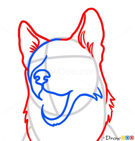 How to Draw Husky face, Dogs and Puppies Simple Husky Drawing, Husky Puppies Drawing, Drawing Husky, Husky Face Drawing, Husky Drawing Sketches, Puppies Husky, Dogs Crafts, Husky Tattoo, Painting Clipart