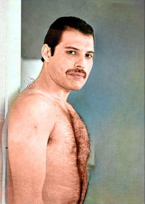 Freddie My Love, Mr Bad, To Love And Be Loved, Queen Photos, Freddy Mercury, Sweet Lover, Queen Pictures, Queen Freddie Mercury, British Rock