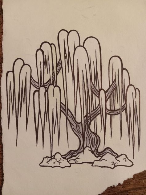 Easy Weeping Willow Drawing, Weeping Willow Tree Painting Acrylic, Willow Tree Drawing Step By Step, Weeping Willow Tree Drawing, Dark Painting, Tree Outline, Flower Remedies, Inktober 2023, Tree Project