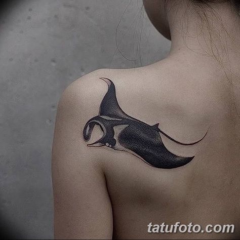 Stingray Tattoos, Manta Ray Tattoo, Stingray Tattoo, Ray Tattoo, Dove Tattoos, Petit Tattoo, Octopus Tattoos, Sea Tattoo, Whale Tattoos