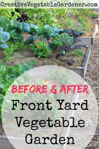 Front Yard Vegetable Garden, Yard Vegetable Garden, Vegetable Trellis, Vegetable Garden Planner, Vegetable Garden Planning, Starting A Vegetable Garden, Front Yard Garden Design, Backyard Vegetable Gardens, Potager Garden