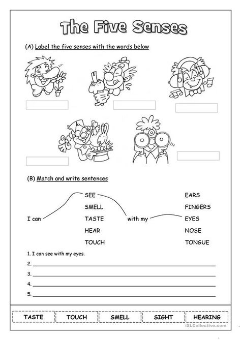 Senses Crafts For Toddlers, Five Senses Crafts For Toddlers, Kindergarten Five Senses, Kindergarten 5 Senses, 5 Senses Worksheet, Five Senses Worksheet, My Five Senses, Grade 1 Reading, Self Esteem Worksheets