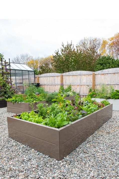 Sleek and sturdy steel raised garden beds that require little maintenance and allow earlier spring planting since the soil heats up faster than in wooden beds. Landscape Florida, Garage Redesign, Raised Bed Ideas, Diy Garden Landscaping, Modern Gardening, Backyard Vegetable Garden, Backyard Transformation, Metal Garden Beds, Chicken Coop Garden