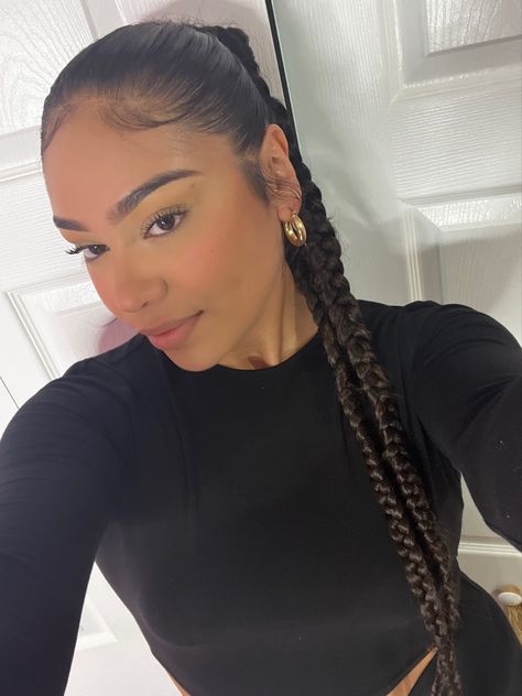 Extra Long Braided Ponytail, Double Braided Ponytail Black Hair, Ponytail With 2 Braids, Ponytail Two Braids, Box Braid High Ponytail, Braided Loose Ponytail Black Hair, High Double Braided Ponytail, Two Braids Ponytail, Braids Long Hairstyles