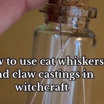 Ali🔮 on Instagram: "Drop your 🐱’s name and how they help you in your spiritual routine!🐈‍⬛ Some additional uses: Whiskers are considered good luck and can be carried for luck or used in abundance spells. You can also use them in a protection jar for your cat if they’re indoor/outdoor or in binding spells to bring you closer Castings can be used to ‘dig your claws’ into someone in love or baneful magick. They can also help in transformation workings or to assist in letting something go Baby te Cats Claw Spiritual, Spells With Cat Whiskers, Cat Claws In Witchcraft, How To Be A Cat, Cat Whiskers Witchcraft, Spells For Luck, Cat Witchcraft, Baneful Magick, Abundance Spells