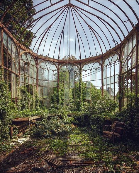 Abandoned greenhouse Art Nouveau Architecture Buildings, Abandoned Greenhouse, Memory Palace, Photogram Photography, Temple Spa, Victorian Greenhouses, Fantasy Architecture, Jungle House, Abandoned Mansions