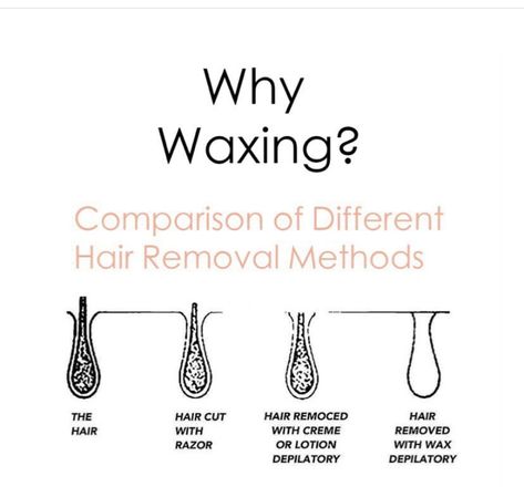 Waxing Post Ideas, Small Waxing Room Ideas, Waxing Education, Waxing Content, Waxing Specialist, Wax Suite, Waxing Aesthetic, Waxing Memes, Wax Content