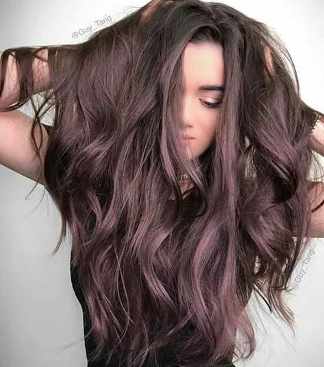 Gorgeous smoky plum hair Lilac Hair, Dark Chocolate Brown Hair, Hair Winter, Rambut Brunette, Brown Ombre Hair, Chocolate Brown Hair, Balayage Blonde, Hair Color Purple, Winter Hair Color