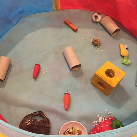 Our version of a hamster play pen Hamster Play Pen, Play Pen Ideas, Fabulously Frugal, Play Pen, A Hamster, Frugal Family, Pet Ideas, The Diary, Good Week