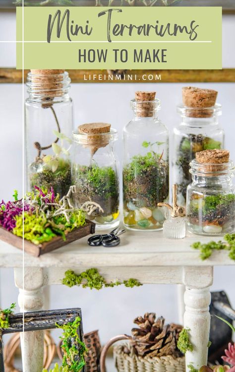 Terrarium Ideas Unique, Garden In A Bottle, Succulent Plants Indoor, Succulent Planting, Bottle Terrarium, Open Terrariums, Terrarium Jar, Indoor Home Decor, Living Garden