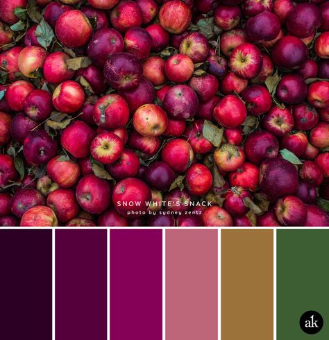 an apple-inspired color palette // dark aubergine, plum, berry, dried rose, gold, green Fall Color Combinations, Color Palette Dark, Modern Brands, Palette Design, Color Schemes Colour Palettes, Green Colour Palette, Design Seeds, Color Palette Design, Color Inspo