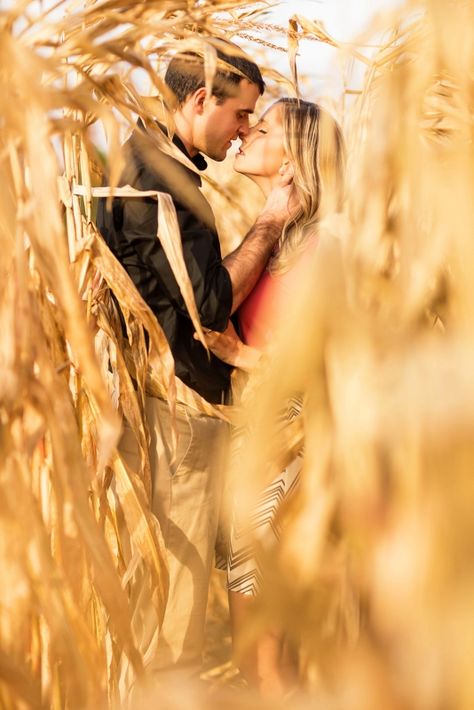 love this in a corn maze...fall engagements Corn Maze Wedding, Corn Engagement Pictures, Corn Maze Engagement Photos, Corn Maze Family Photos, Corn Maze Poses, Corn Maze Maternity Pictures, Pumpkin Patch Engagement Photoshoot, Cornfield Photoshoot Couples, Fall Pumpkin Patch Photo Shoot Couples