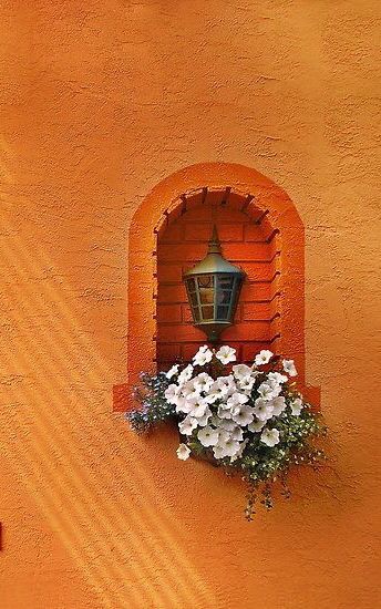 Orange Orange Walls, Have Inspiration, Orange Aesthetic, Foto Art, Orange Is The New Black, Aesthetic Colors, Happy Colors, Mellow Yellow, Shades Of Orange