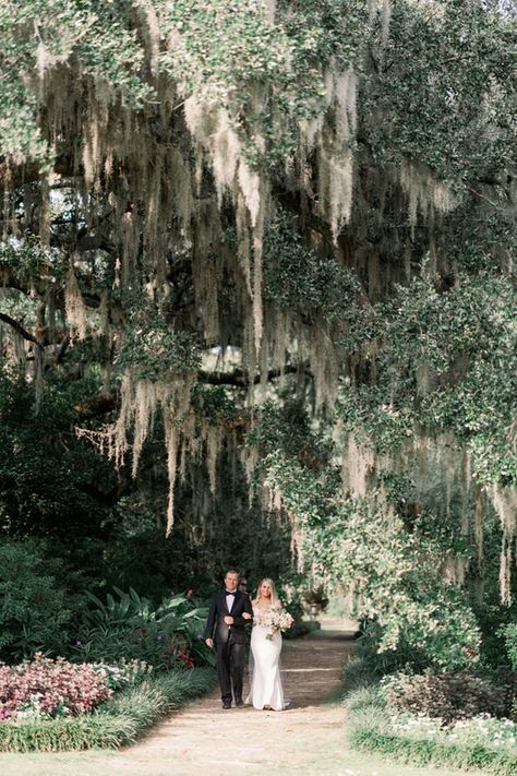 Outdoor Wedding Venue, Nature, Natural Wedding Venue, Oak Trees, Aisle, Walking Down the Aisle, Garden Wedding, Dad, Father of the Bride, White Dress, Wedding Dress, White Gown, White Dress, Here Comes the Bride, Outdoor Ceremony, Garden Ceremony, Bridal Bouquet, Wilmington North Carolina Wedding Venues, Airlie Gardens Wilmington Nc Wedding, Airlie Gardens Wedding, Airlie Gardens Wilmington Nc, Louisiana Wedding Venues, Wilmington Nc Wedding, Wedding Management, Wedding Knot, Wedding Venues North Carolina