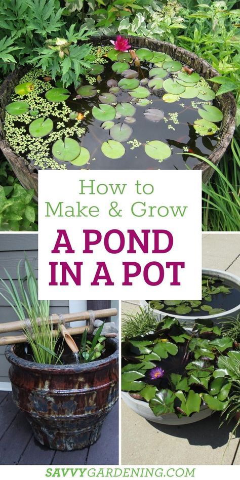 Little Pond Ideas Small Gardens, Small Plant Garden Ideas, Easy Maintain Garden, Small Pond For Garden, Potted Water Garden, Easy Garden Water Features, Water Garden In A Pot, Indoor Water Features Diy, Outdoor Garden Ideas Backyards Easy Diy