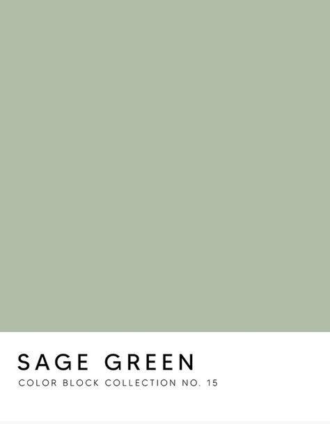 Green Wall Shades, Pistachio Green Paint, Pistachio Wall Color, Pistachio Color Aesthetic, Pale Green Color Palette, Sage Green Photography, Pantone Sage Green, Muted Green Aesthetic, Sage Green Pantone