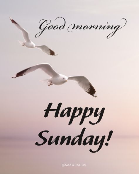 Good morning! Have a terrific Sunday! Happy Sunday Quotes Positivity Good Morning, Happy Sunday Morning Quotes Inspirational, Happy Sunday Morning Beautiful, Good Morning Happy Sunday Quotes, Good Morning Images Sunday, Sunday Morning Greetings, Happy Sunday Morning Quotes, Good Morning Sunday Wishes, Sunday Good Morning Wishes