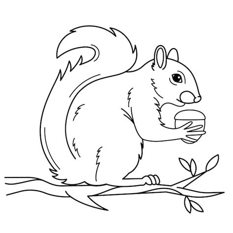 Free vector hand drawn squirrel outline ... | Free Vector #Freepik #freevector #animal-outline #outline #line-art #animal-drawing Squirrel Line Drawing, Squirrel Outline, Animal Outline, Outline Illustration, Outline Drawing, Animal Drawing, Outline Drawings, Order Food, Vector Hand