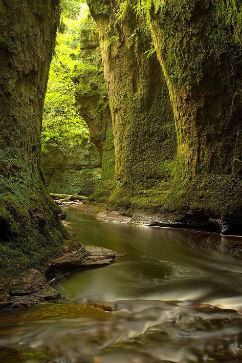 Scotland Nature, Scotland Aesthetic, Loch Lomond Scotland, Scotland Landscape, Best Travel Destinations, Long Term Travel, Scotland Highlands, Loch Lomond, Scottish Landscape