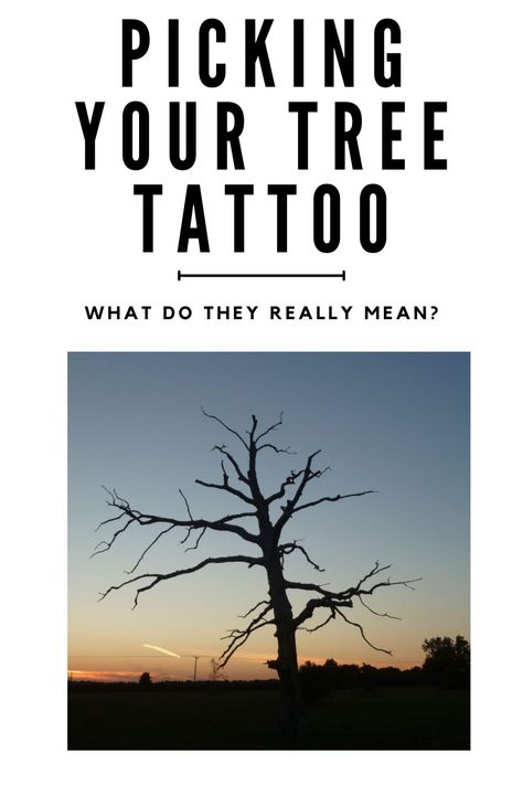 Check out a quick visual guide to see tree tattoos and their meanings. Full Back Tree Tattoo Women, Oak Tattoo Tree, Yew Tree Tattoo, Tree Branch Tattoos For Women, Oak Tree Leaf Tattoo, Ash Tree Tattoo, Sequoia Tree Tattoo, Poison Tree Tattoo, Maple Tree Tattoo